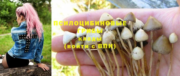 амфетамин Лабытнанги