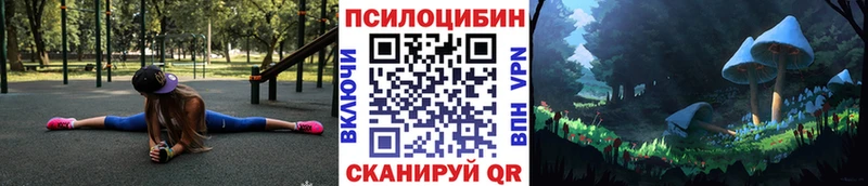 Галлюциногенные грибы Psilocybe  Шилка 